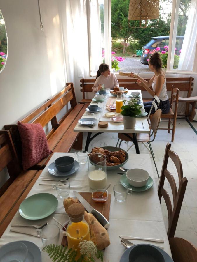 Surfhostel Hossegor 소르-호스고르 외부 사진